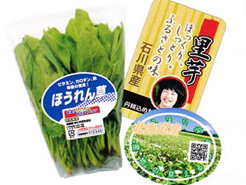 青果物パッケージ